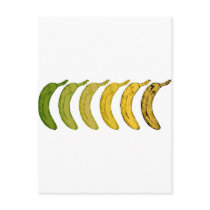 Banana Evolution