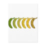 Banana Evolution