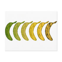 Banana Evolution