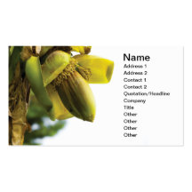 Banana flower business card