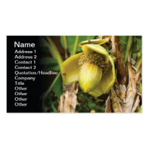 Banana flower business card templates