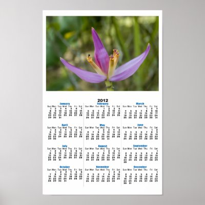 Banana Flower Poster Calendar by TonysPhotography