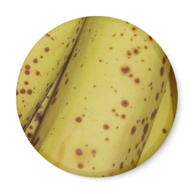 Banana Fruit Magnet by emele1