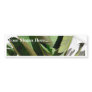 Banana Green Plant On White Wall Bumper Sticker