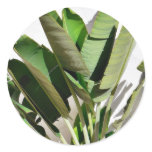 Banana Green Plant On White Wall Round Stickers