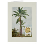 Banana Greeting Card