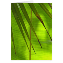 Banana Leaf and Coconut Frond Card