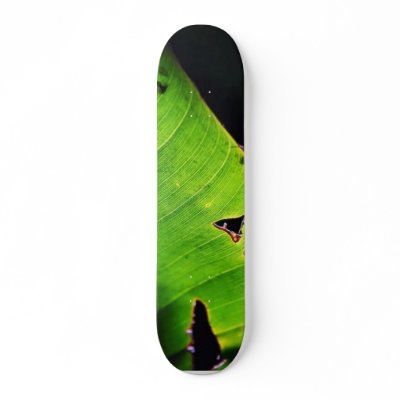 Banana Leaf At Balboa Park In San Diego Skateboard Decks by lifesphere
