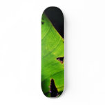 Banana Leaf At Balboa Park In San Diego skateboards