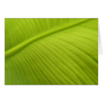 Banana Leaf Cards