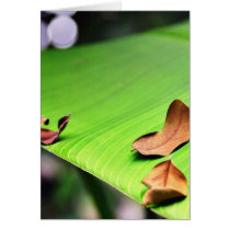 Banana Leaf Greeting Cards