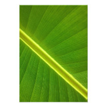 Banana Leaf Macro Custom Invites