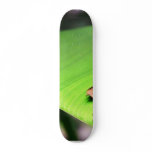Banana Leaf Skateboard