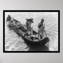 Banana Peddlers in a Boat in Panama 1898 Posters