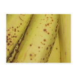 Banana Postcard