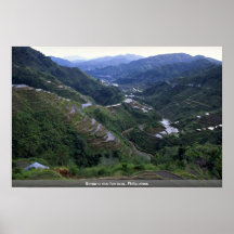 Banana rice terraces, Philippines Print