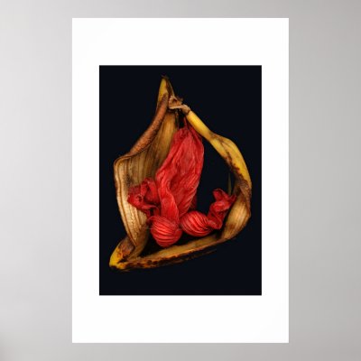 Banana Surprise Posters by apresimage
