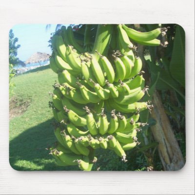 banana tree mouse mats by Leanne1184