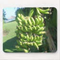 banana tree mousepads