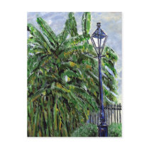 Banana Trees at Jackson Square Postcard
