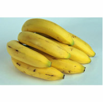 Bananas Photo Sculptures