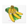 bananas post cards