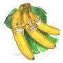 bananas round stickers