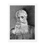 Bancroft ~ George Historian Diplomat Postcards
