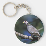 Band-tailed Pigeon Keychain