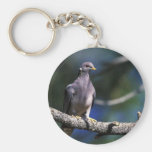Band-tailed Pigeon Keychains