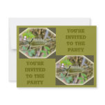 Banded Tussock Moth Caterpillar Birthday Party Invitation