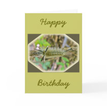 Banded Tussock Moth Caterpillar Cards