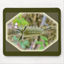 Banded Tussock Moth Caterpillar Mousepads