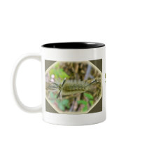 Banded Tussock Moth Caterpillar Mug
