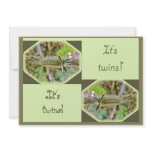 Banded Tussock Moth It's Twins Baby Announcement invitations