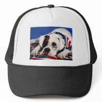 Bandit the Boxer Hat