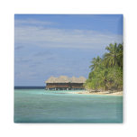 Bandos Island Resort, North Male Atoll, The Magnet