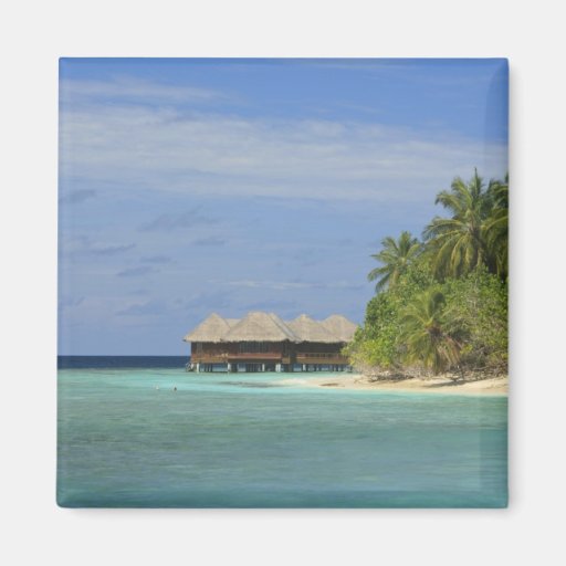 Bandos Island Resort, North Male Atoll, The Magnet