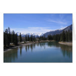 Banff Cards