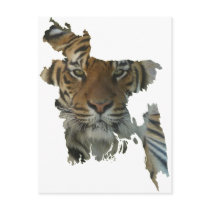 Bangladesch-Tiger