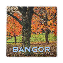 Bangor Magnet
