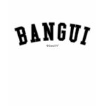Bangui t-shirts