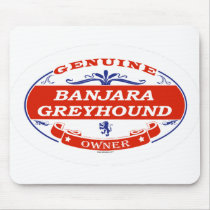 Banjara Greyhound