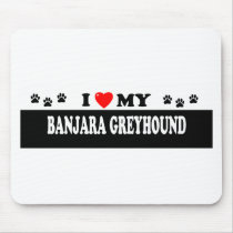 BANJARA GREYHOUND