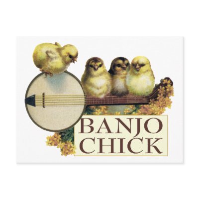 Banjo Chick Postcard by retrobanjo