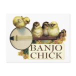 Banjo Chick Postcard