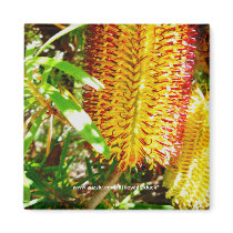 Banksia Flowers - Magnet