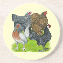 Bantam Hen Quartet Beverage Coasters