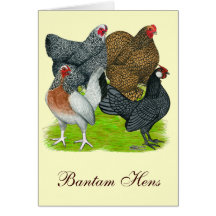 Bantam Hen Quartet Greeting Card