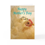 Banty hen & chick